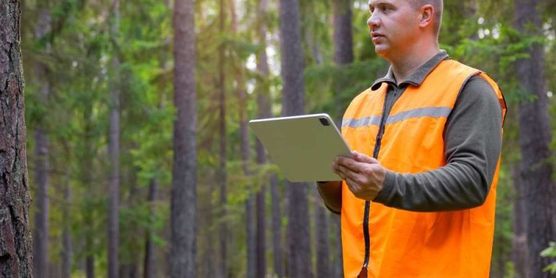 Consultoria Jurídica na elaboração e_ou regularização de Plano de Manejo Florestal Sustentável (PMFS)