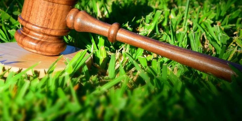 Consultoria e Assessoria Jurídica Ambiental