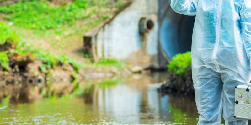 Defesa criminal em crimes ambientais