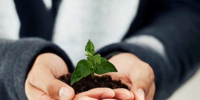 Defesa em autos de infração